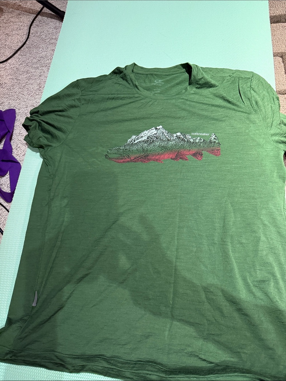 Icebreaker, 100% merino graphic tshirt, USL